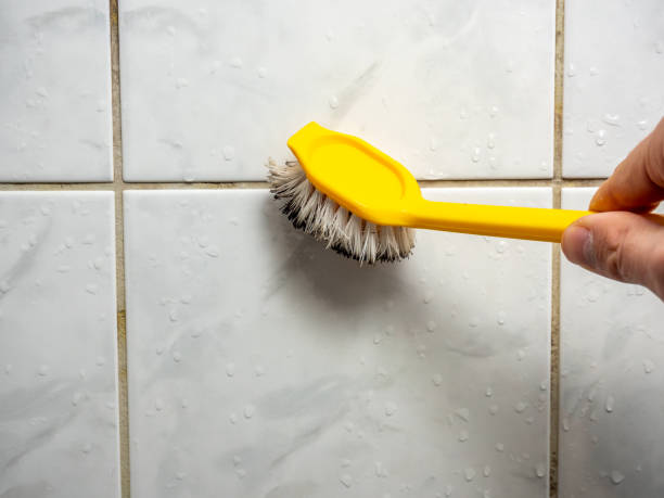 Best Black Mold Removal  in Holtsville, NY