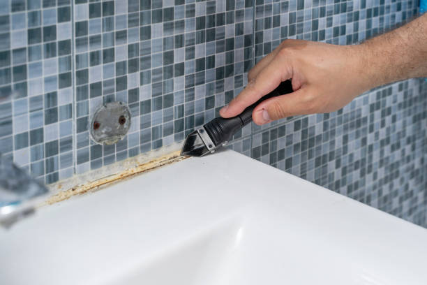 Office Mold Removal Services in Holtsville, NY